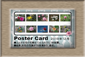 エム作成花見頃ポスター2019年12月