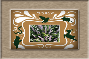 エム作成花見頃ポスター2019年9月