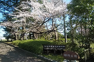榴岡公園