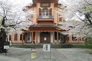 山形霞城公園の桜